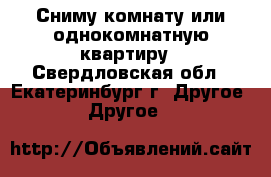 Сниму комнату или однокомнатную квартиру - Свердловская обл., Екатеринбург г. Другое » Другое   